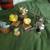 Folk Art Carved Painted Bird Collection 1 thumbnail
