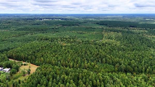 $99,000 21 Acres in Victoria, VA (Flat Rock Creek Trail)63851970376065123