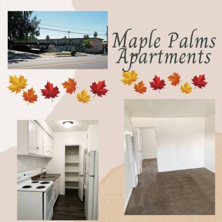 2 Bed 1 Bath - Apartment - $1,100 1