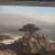 Lone Cypress Pebble Beach PANORAMIC 32.5" California Vtg Tinted Photo 5 thumbnail