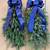 Fresh evergreen swags, fresh cut boughs spruce, balsam fir conifer arr 2 thumbnail