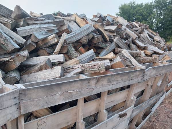 Dry mixed hardwood firewood 1