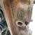 Ford Cylinder heads 2 thumbnail