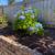 Port Angeles, 2 Bed,1 Bath Furnished Guest House/6 month or year lease 15 thumbnail