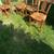 FOUR VINTAGE MATCHING WOOD CHAIRS WITH RUSH SEATS AND CARVED DEER 19 thumbnail