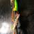 3 New Fishhooks / Fishing Lure Set / Fish Hooks / Fishin' Lures 13 thumbnail