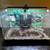 15 Gallon Rimless Perfect Fish Tank Set! 1 thumbnail