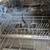 NEW Danby Countertop Portable Dishwasher Home RV Motorhome 13 thumbnail