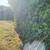 LANDSCAPING IN FREE ESTIMATES 6 thumbnail