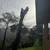 Pavers n CONCRETE.SPECIAS.TREE.WORK.ALL AREAS 9 thumbnail