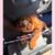 Pure red poodle looking for forever home 7 thumbnail