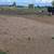 RV spot in Tumalo 2 thumbnail
