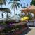 Sunny Bucerias 3bd 3bath Pool 24hr Security 9 thumbnail