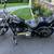 2008 Harley Davidson Softtail Custom 2 thumbnail