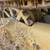 Caterpillar D4 7J series Tractor Hollister 7 thumbnail