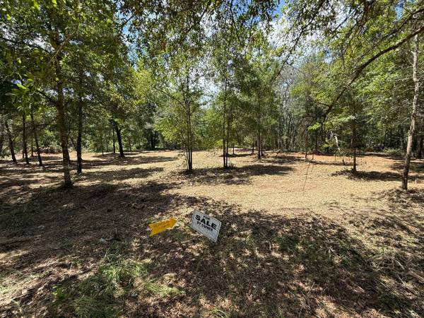 $34,000 / 18000ft2 - Terreno grande LISTO PARA CONSTRUIR de 0.41 acre cerca de Gainesville FL! (Interlachen)63823028666753121