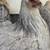 Isabella Brahma Hens & Roosters 7 thumbnail
