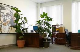 $1 / 1ft2 - Warehouse & Business Storage Solutions | Cubework Compton63812226069635121