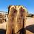 Large inventory of Mesquite & Black Walnut Slabs **KILN DRIED 4 thumbnail