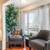Feels Like Home - 1 Bedroom Available! 2 thumbnail