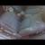 ♻️2009 SCION TC 2.4L FWD PARTING OUT 8 thumbnail
