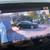 2018 Honda Pilot EXL-N 51,000 ACTUAL MILES!!  31+ MPG Well Maint 18 thumbnail