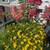 Landscape Construction Foreman 17 thumbnail