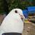 Wedding dove. 8 thumbnail
