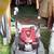 commercial mowers different prices 9 thumbnail
