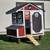 chicken coop 800 1 thumbnail