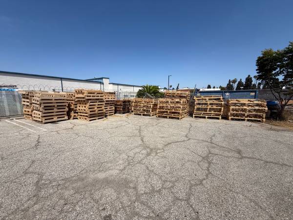Free Pallets 1