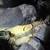 Real shop, Clutches, Engines, Heads, Timing belt, 43yr Master ASE 10 thumbnail