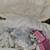 Cosmetic or toiletry bag with many Mally beauty tubes 4 thumbnail