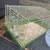 Guinea pig/bunny cage, wayer bootle amd excercise ball 2 thumbnail