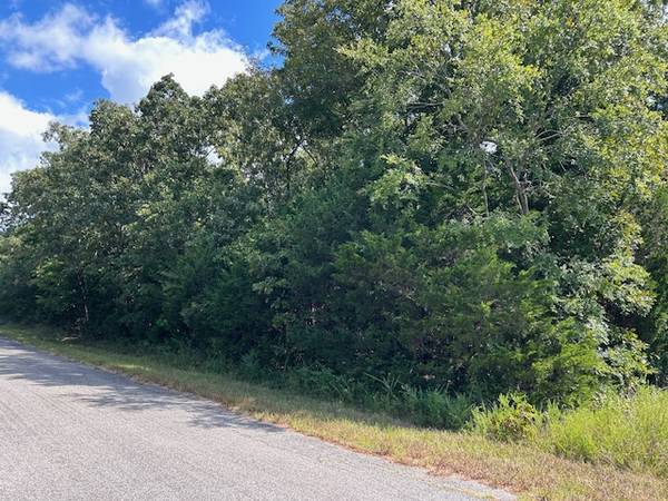 $199 / 12900ft2 - Horseshoe Bend AR - Norte de Arkansas Central. .297 acres (Horseshoe Bend AR)64312241644803122