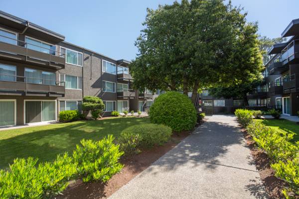 $1,380 / 1br - Move-In Ready 1BR – At Garden Court!🏡 (Rainier)63934550521475122