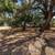 2-inch Faux Wood Blinds, Irrigation Water Sensors, LED Lighting 6 thumbnail