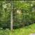 Building Lot Vacation Home 4 thumbnail