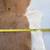 Whitetail Deer Hide Tanned Fur Deerskin Buckskin 4 Different 13 thumbnail