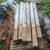 Pressure treated 4" x 4"s 1 thumbnail