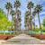 SUMMERLIN RENTAL!!  REMODELED BATHROOMS!!  NEW FLOORING!!  NEW PAINT!! 22 thumbnail