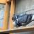 Pigeons/ ladrones cubanos 2 thumbnail