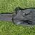 Roadrunner Gig Bag - Electric Guitar 2 thumbnail