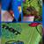 4T Pajama Lot 6 thumbnail