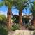 Tree service, Landscaping , Gardening ,Irrigation 8 thumbnail