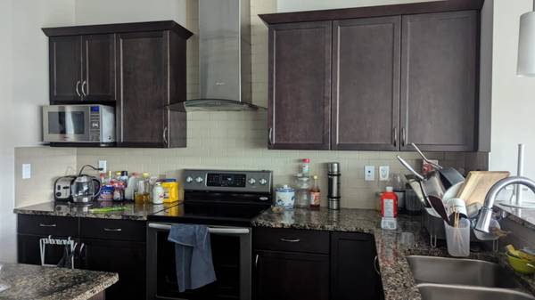 Edmonton New Home Basement 1,400 / month 4