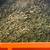 FREE TREE MULCH WHITTIER LA HABRA FULLLERTON 2 thumbnail