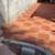 Gardening service, Palm Tree Service, Decorative rock, yard clean up 8 thumbnail
