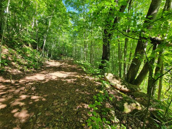 $79,500 2.98 Acres - Quiet lot nestled in the hills (Villages of Plott Creek, Waynesville)64029206914433123