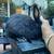 ***RABBITS & CHICKENS & QUAILS, OH-MY!*** 6 thumbnail
